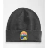 Adult The North Face Embroidered Earthscape Beanie