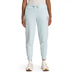 Women's The North Face Box NSE Joggers