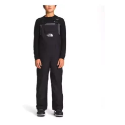 Kid's The North Face Teen Freedom Insulated Bibs