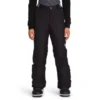 Girls' The North Face Freedom Insulated Pants -Sportswear Store 19601344941