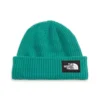 Adult The North Face Salty Lined Beanie -Sportswear Store 19624706919