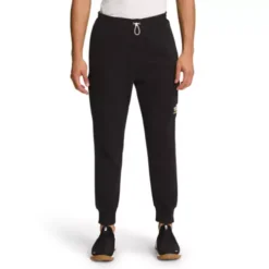 Men's The North Face Coordinates Joggers