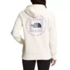 Women's The North Face Geo NSE Hoodie -Sportswear Store 19624832733