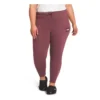 Women's The North Face Plus Box NSE Joggers