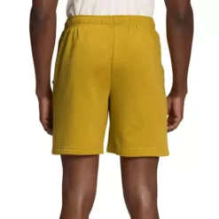 Men's The North Face Never Stop Shorts 5 Men's The North Face Never Stop Shorts -Sportswear Store 19624834581 1