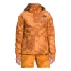Women's The North Face Garner Triclimate Jacket