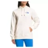 Women's The North Face Places We Love Hoodie -Sportswear Store 19657173130