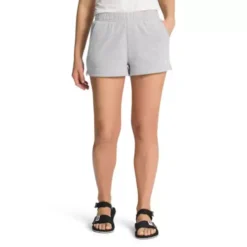 Women's The North Face Half Dome Logo Shorts