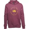 Men's The North Face Bearscape Circle Logo Hoodie 2 Men's The North Face Bearscape Circle Logo Hoodie -Sportswear Store 19657181000