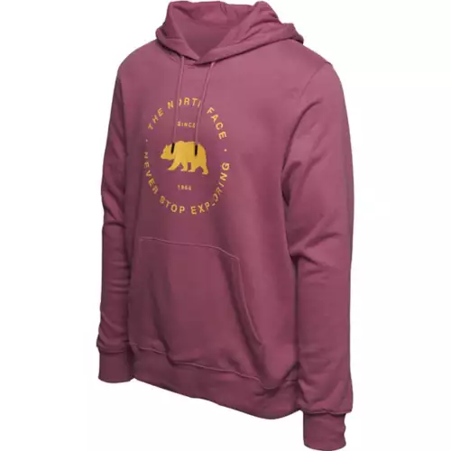 Men's The North Face Bearscape Circle Logo Hoodie 4 Men's The North Face Bearscape Circle Logo Hoodie - Image 2