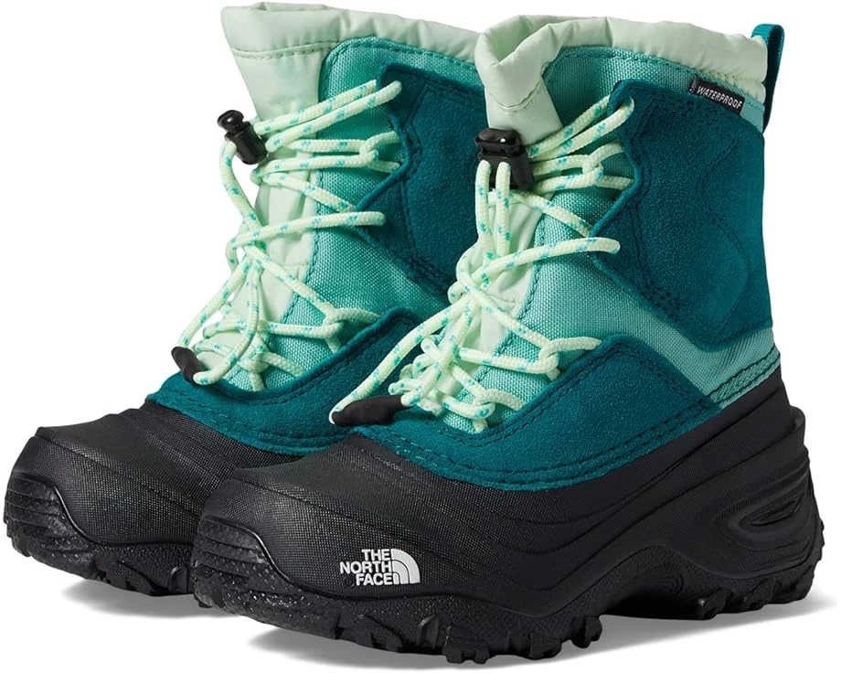 The North Face Kids Alpenglow V Waterproof (Toddler/Little Kid/Big Kid) 3 The North Face Kids Alpenglow V Waterproof (Toddler/Little Kid/Big Kid)